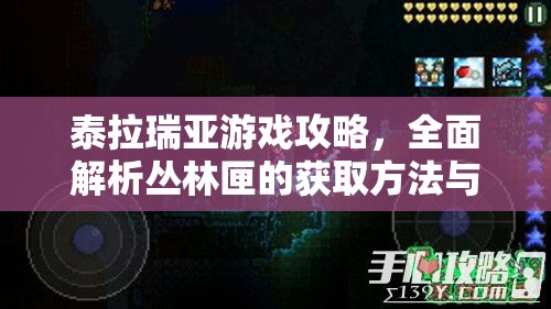 泰拉瑞亚游戏攻略，全面解析丛林匣的获取方法与高效管理技巧