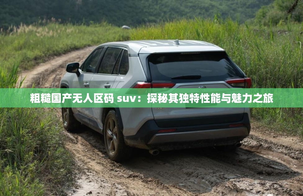 粗糙国产无人区码 suv：探秘其独特性能与魅力之旅