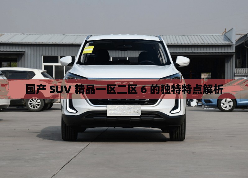 国产 SUV 精品一区二区 6 的独特特点解析