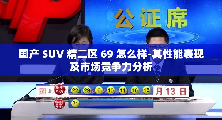 国产 SUV 精二区 69 怎么样-其性能表现及市场竞争力分析