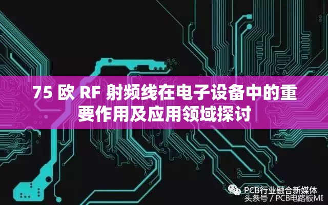 75 欧 RF 射频线在电子设备中的重要作用及应用领域探讨