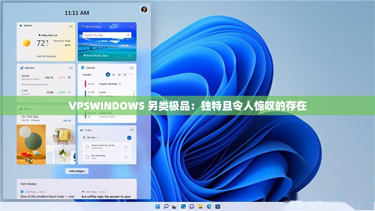 VPSWINDOWS 另类极品：独特且令人惊叹的存在