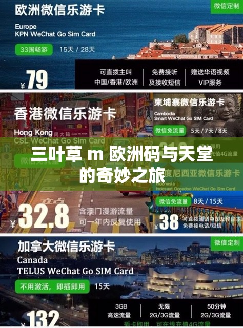 三叶草 m 欧洲码与天堂的奇妙之旅