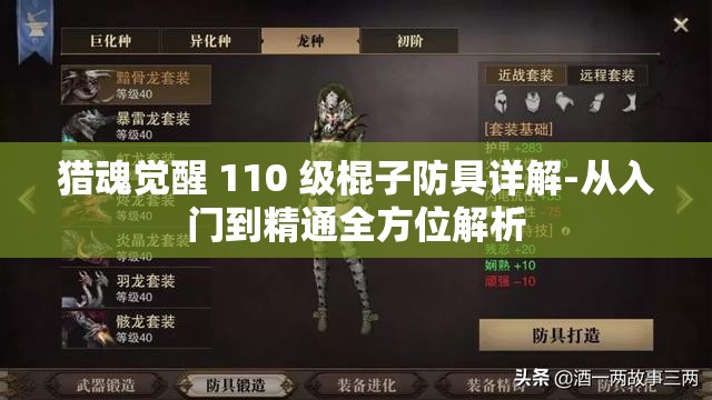 猎魂觉醒 110 级棍子防具详解-从入门到精通全方位解析