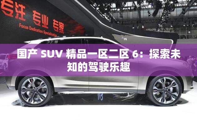 国产 SUV 精品一区二区 6：探索未知的驾驶乐趣