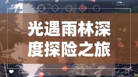 光遇雨林深度探险之旅，全面揭秘并寻找隐藏的16个光之翼藏匿点