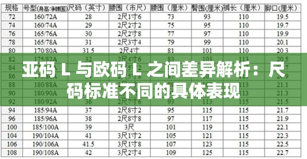 亚码 L 与欧码 L 之间差异解析：尺码标准不同的具体表现