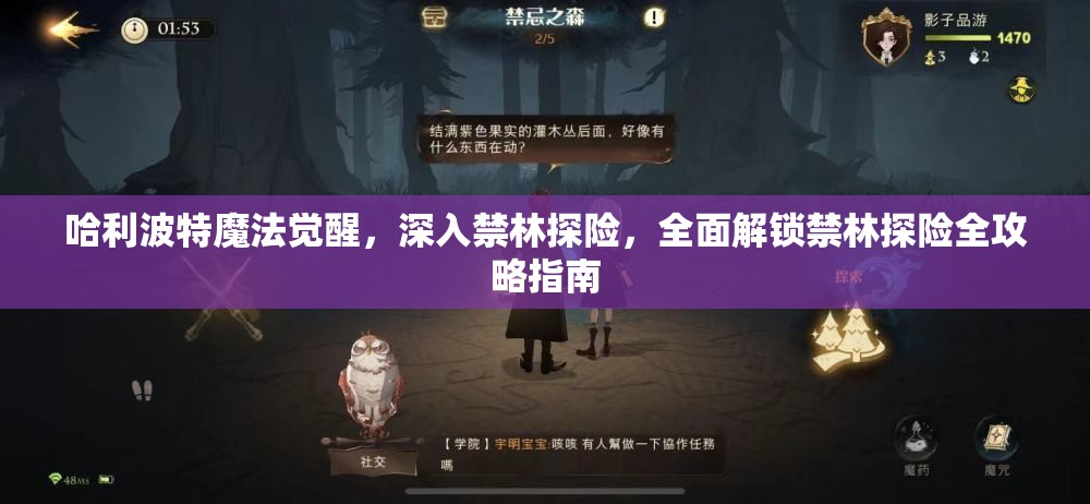 哈利波特魔法觉醒，深入禁林探险，全面解锁禁林探险全攻略指南