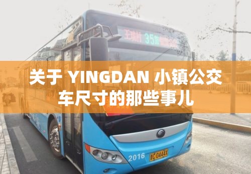 关于 YINGDAN 小镇公交车尺寸的那些事儿