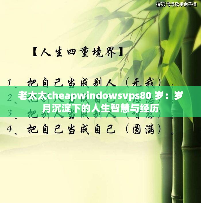 老太太cheapwindowsvps80 岁：岁月沉淀下的人生智慧与经历