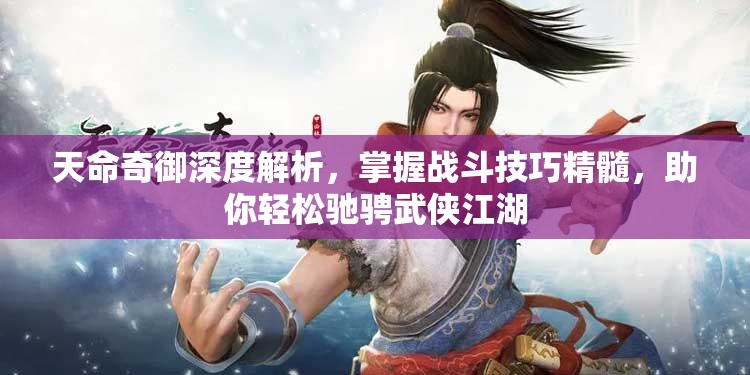 天命奇御深度解析，掌握战斗技巧精髓，助你轻松驰骋武侠江湖