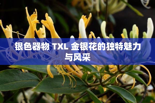 银色器物 TXL 金银花的独特魅力与风采