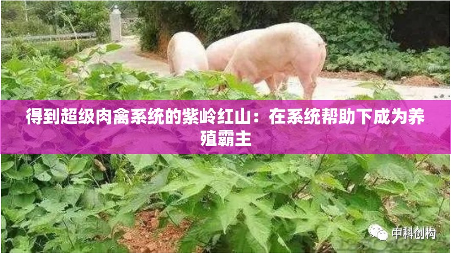 得到超级肉禽系统的紫岭红山：在系统帮助下成为养殖霸主