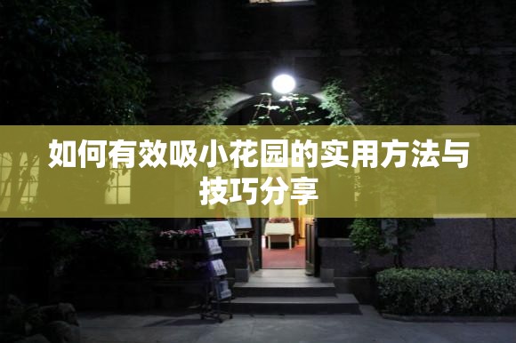 如何有效吸小花园的实用方法与技巧分享