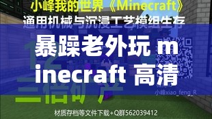 暴躁老外玩 minecraft 高清服务器再次升级：服务器升级，游戏体验更流畅