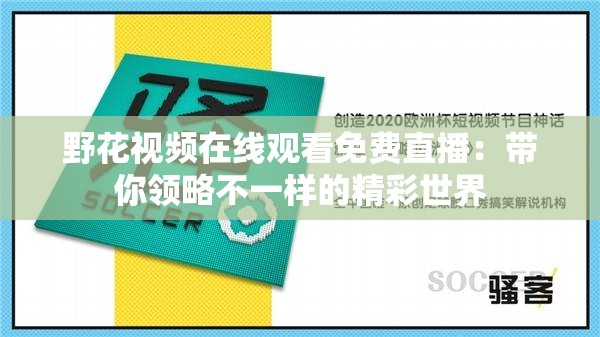 野花视频在线观看免费直播：带你领略不一样的精彩世界