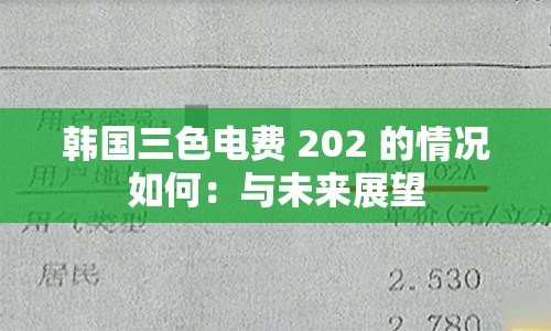 韩国三色电费 202 的情况如何：与未来展望