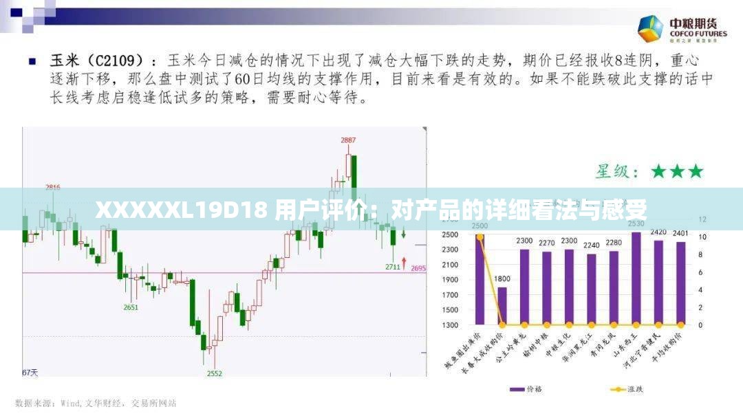 XXXXXL19D18 用户评价：对产品的详细看法与感受