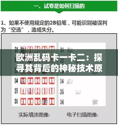欧洲乱码卡一卡二：探寻其背后的神秘技术原理与应用场景