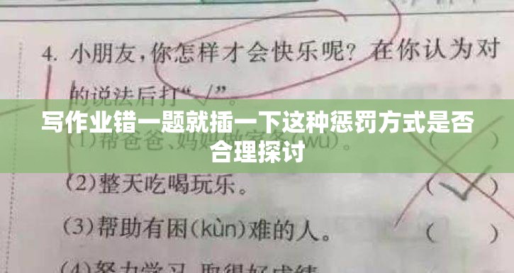 写作业错一题就插一下这种惩罚方式是否合理探讨