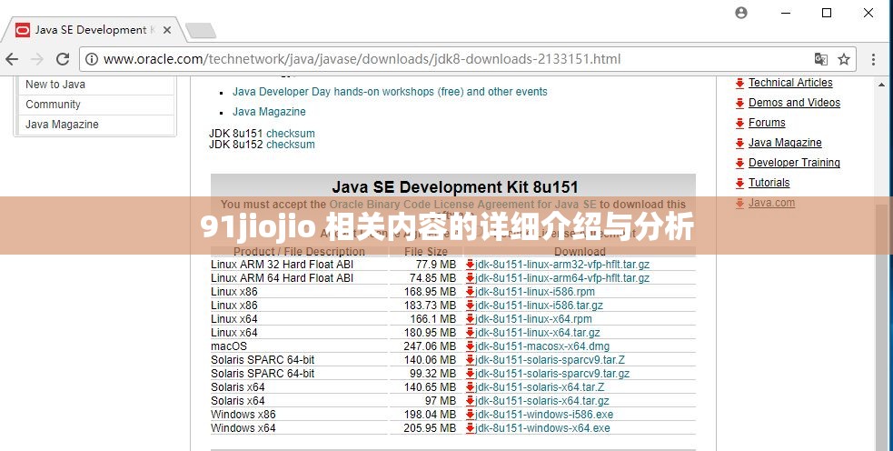 91jiojio 相关内容的详细介绍与分析