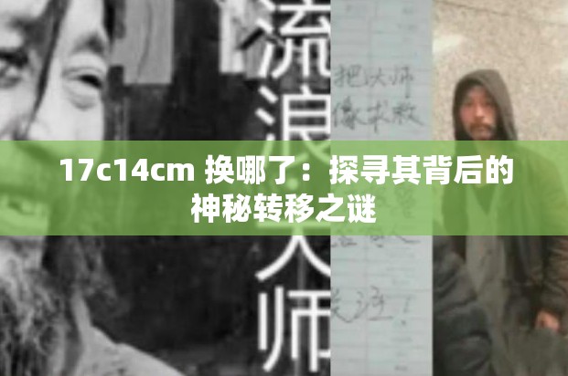 17c14cm 换哪了：探寻其背后的神秘转移之谜