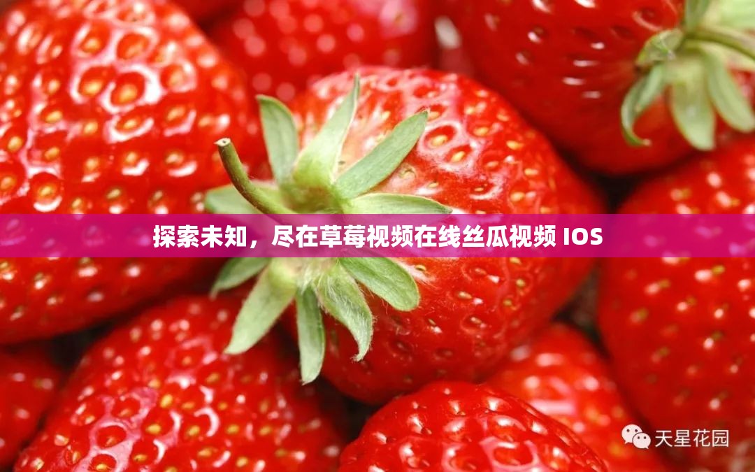 探索未知，尽在草莓视频在线丝瓜视频 IOS