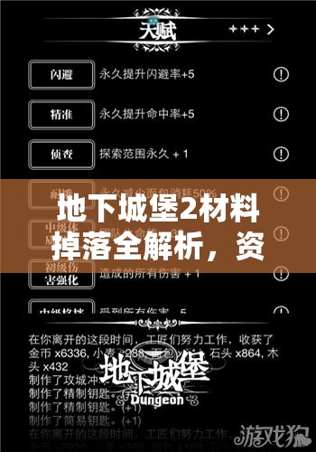 地下城堡2材料掉落全解析，资源管理技巧、高效利用策略及避免浪费指南