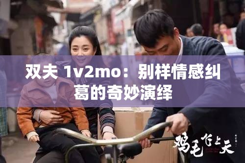 双夫 1v2mo：别样情感纠葛的奇妙演绎