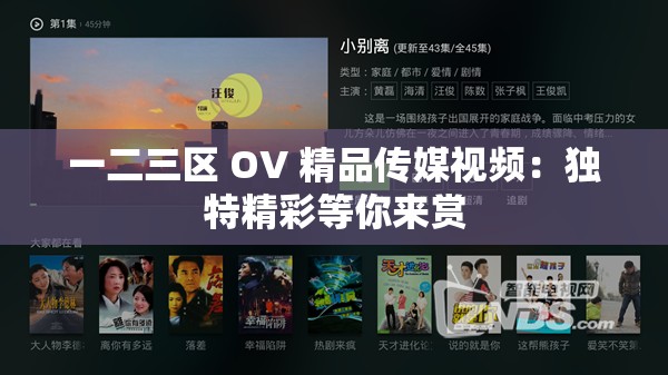 一二三区 OV 精品传媒视频：独特精彩等你来赏