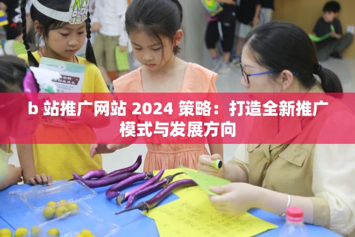 b 站推广网站 2024 策略：打造全新推广模式与发展方向