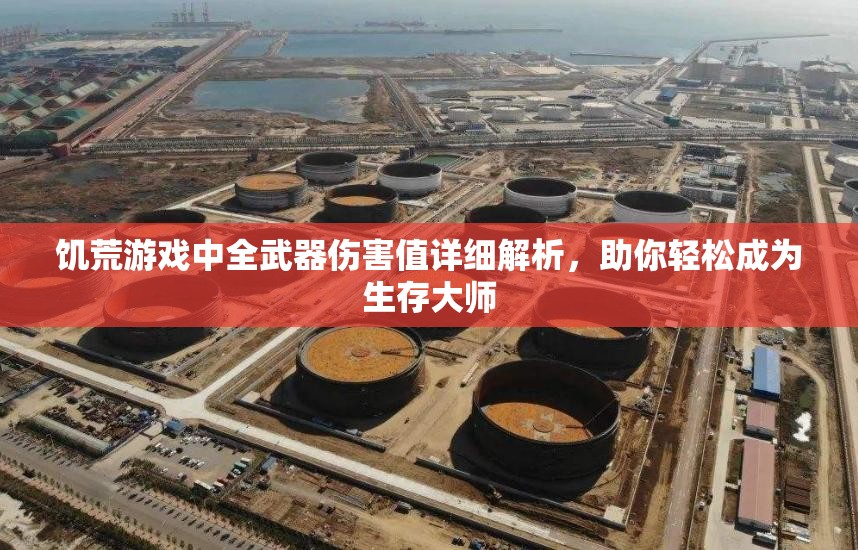 饥荒游戏中全武器伤害值详细解析，助你轻松成为生存大师