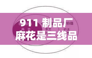 911 制品厂麻花是三线品牌吗：深度剖析与市场定位