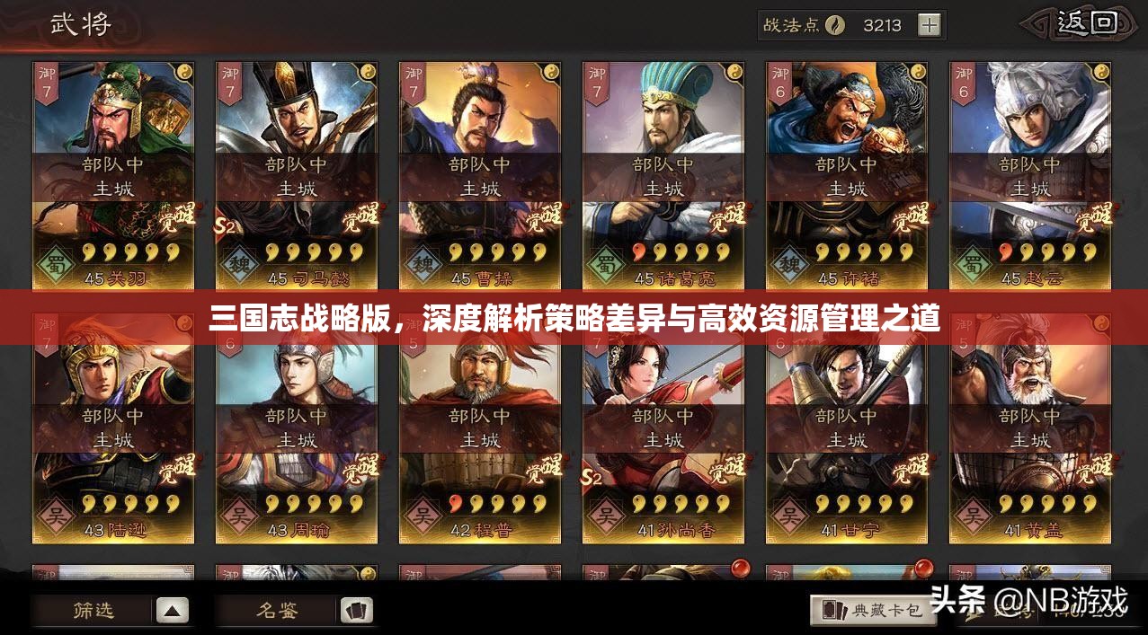 三国志战略版，深度解析策略差异与高效资源管理之道