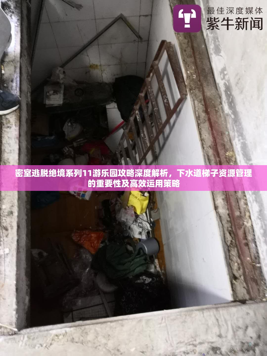 密室逃脱绝境系列11游乐园攻略深度解析，下水道梯子资源管理的重要性及高效运用策略