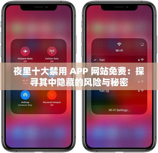 夜里十大禁用 APP 网站免费：探寻其中隐藏的风险与秘密