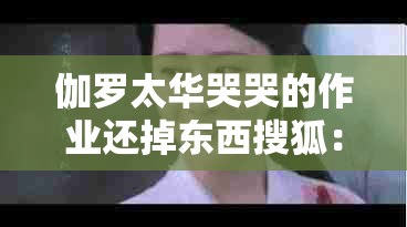 伽罗太华哭哭的作业还掉东西搜狐：她的眼泪和失落，你是否也曾经历