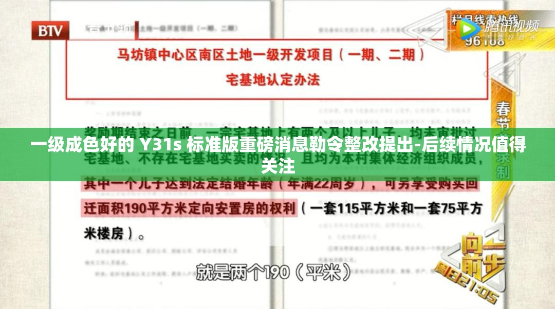 一级成色好的 Y31s 标准版重磅消息勒令整改提出-后续情况值得关注