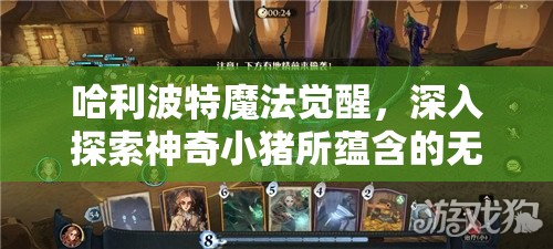 哈利波特魔法觉醒，深入探索神奇小猪所蕴含的无限魔法潜能