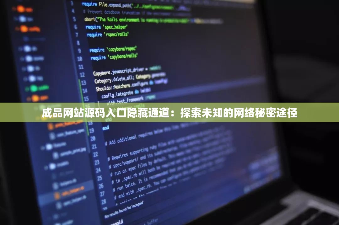 成品网站源码入口隐藏通道：探索未知的网络秘密途径