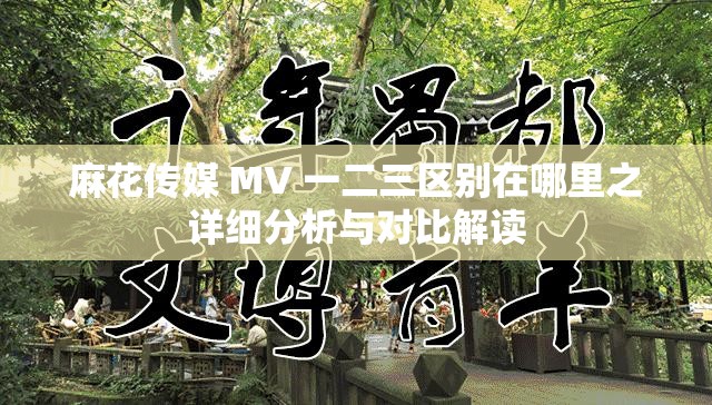 麻花传媒 MV 一二三区别在哪里之详细分析与对比解读