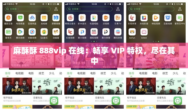 麻酥酥 888vip 在线：畅享 VIP 特权，尽在其中