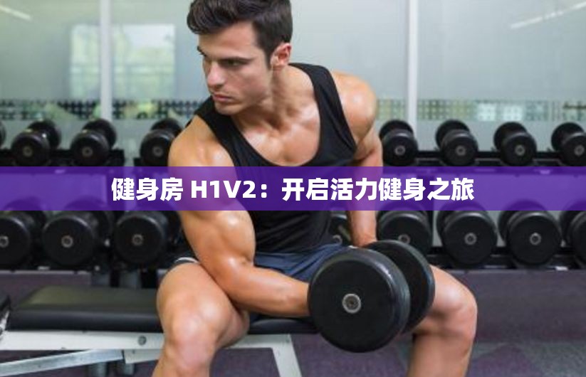 健身房 H1V2：开启活力健身之旅