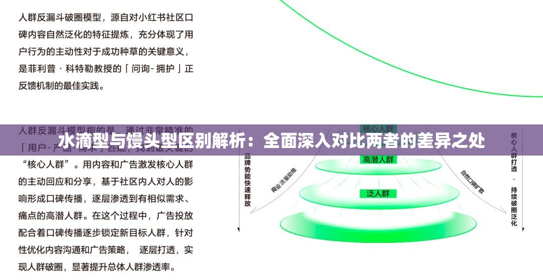 水滴型与馒头型区别解析：全面深入对比两者的差异之处