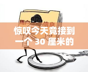 惊叹今天竟接到一个 30 厘米的大单