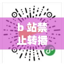 b 站禁止转播 404 入口：这一规定对平台和用户的影响探讨