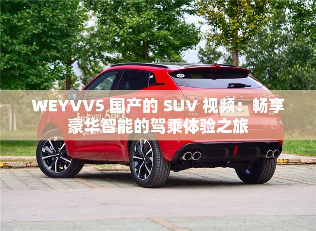 WEYVV5 国产的 SUV 视频：畅享豪华智能的驾乘体验之旅