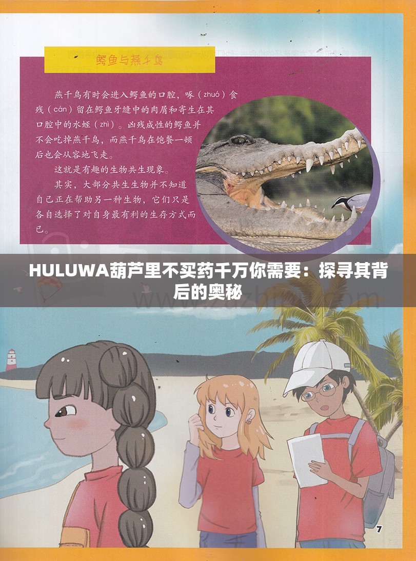 HULUWA葫芦里不买药千万你需要：探寻其背后的奥秘