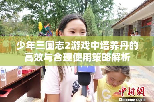 少年三国志2游戏中培养丹的高效与合理使用策略解析