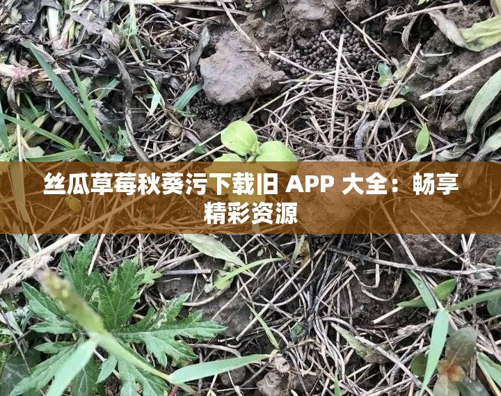 丝瓜草莓秋葵污下载旧 APP 大全：畅享精彩资源